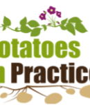 potatoes in practice