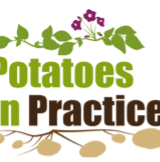 potatoes in practice